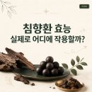 발효명가 도원한의원 | 침향환 효능, 실제로 어떤 성분이 어디에 작용할까?