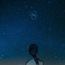 디스토리 이미지