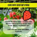아희레저