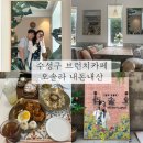 대구 수성구 브런치 맛집ㅣ오솔라 내돈내산 후기