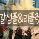 365포토스튜디오