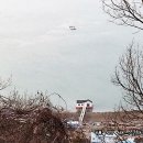 뒷동산농원 이미지