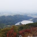 충남목장 이미지