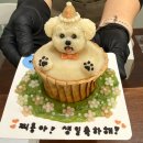 꼬리별펫케이크 | 대전 송촌동 펫 케이크 맛집 "꼬리별펫케이크"