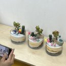 서울양원숲초등학교병설유치원 이미지