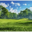 자연의 움직임 이미지