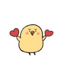 로얄광택전문손세차 이미지