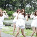 비디오랜드 이미지