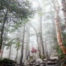 굿모닝유치과의원 | 부산 임플란트 틀니 가격 안내