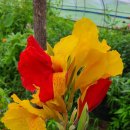 아이들세상 이미지