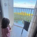 이야옹 | 세소코 리조트] 20개월 아기랑 오키나와 리조트 후기 / 하루 더 있고 싶었던 오키나와 리조트 / 세소코...