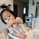 댕이맘마 이미지