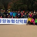 민속그린식당 이미지