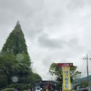송지메기매운탕 네이버블로그