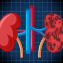 참조은의원 이미지