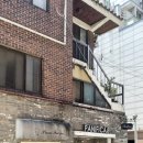 파니피카 이미지