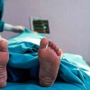 오빠콜PC 이미지