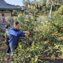 용산농장 이미지