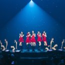 타이거나인 MHN스포츠