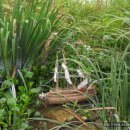 성찬농장 이미지