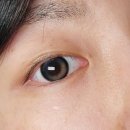 신용사안경 이미지