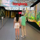 테라스 222(terrace 222) | 자유여행 필수 코스 피크트램 평일 저녁 후기｜빅토리아피크 야경 스카이테라스 428 예약 가격 꿀팁까지
