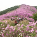 5월5일(목) 제146차 정기산행 남원 봉화산(919m),,계절의 여왕5월 불타는 철쭉능선 산행 이미지