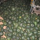 비둘기집 이미지