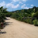 사철영양탕 이미지