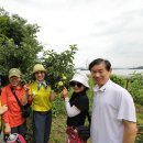 늘봄농장 이미지