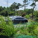 금강행정사사무소 이미지