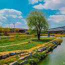 경안천 전대리 이미지