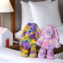 봄 호텔 이미지