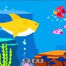 송 - 서초구 | 송