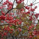 공원관리사무소 이미지