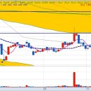 조광코리아 이미지