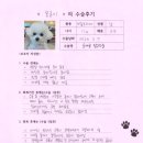 1506 | [#1506] 몽글(양측 슬개골 탈구 G3)의 수술후기