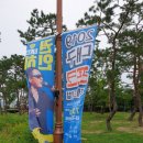 대구 포크페스티벌 2019 -한여름의 더위를 날려 주네요