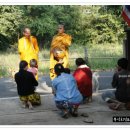 인태농장 이미지