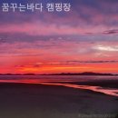 꿈꾸는바다 | [태안/캠핑장/글램핑] 꿈꾸는바다 캠핑장 자연 속에서 제대로 쉬고 온 후기