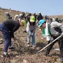 주식회사숲나무 이미지