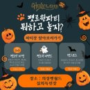 한국아우아우교육문화협회 네이버블로그