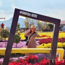 언덕배기 해오름집 이미지