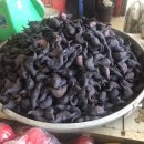 과일도시 이미지