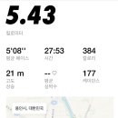 신쿤킥복싱