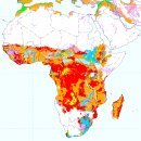 세계 양질의 토지 지도 이미지