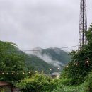 로뎀나무펜션 이미지