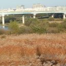 진아리채경로당 이미지