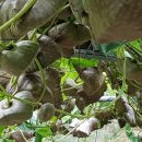 경기종묘농자재 이미지