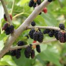 근해농장 이미지